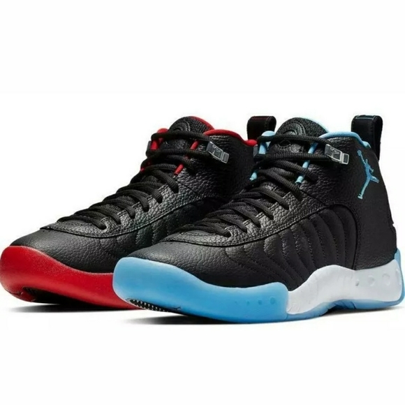 Jordan Other - New AIR JORDAN Jumpman Pro